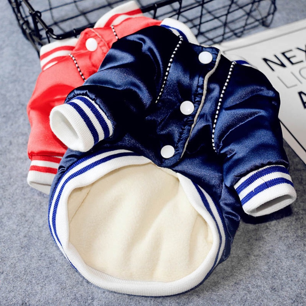Dog Baby Dog Bomber jacket - Picture 3 of 8